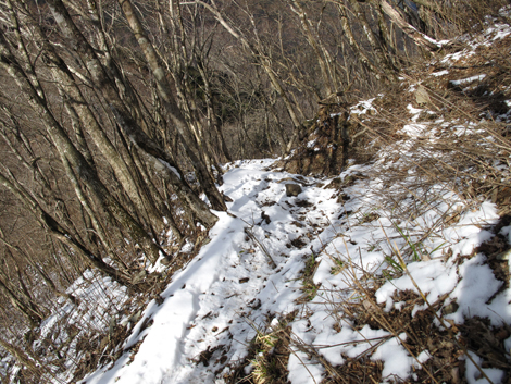 20160218hike (470)